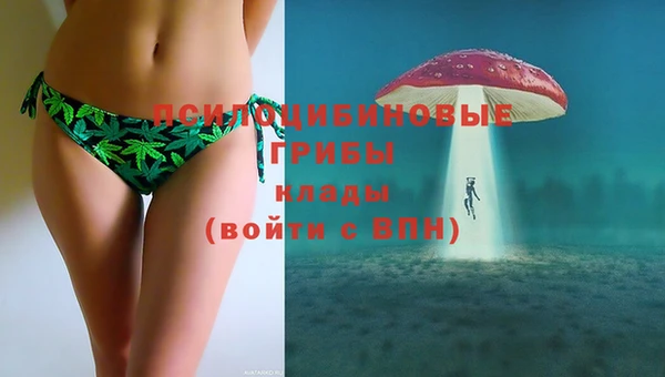 прущие грибы Володарск
