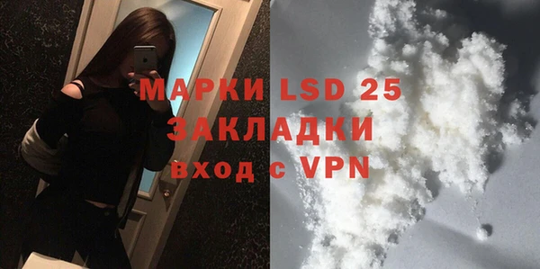 прущие грибы Володарск