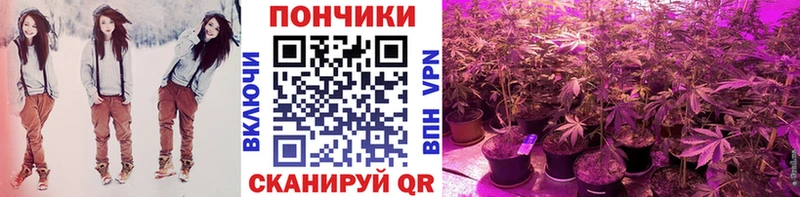 Купить закладки  Междуреченск  Шишки марихуана семена 
